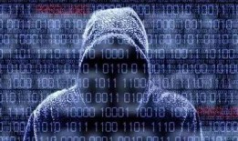 黑客组织最新爆料,揭秘网络黑幕与安全危机